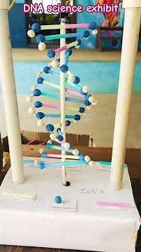 DNA science exhibit ‪@rrkings77‬ #science #education