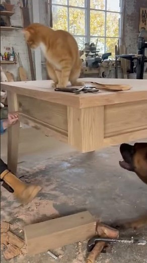 When you scare a dog!