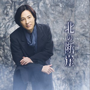 山内　惠介 | 北の断崖(きりぎし)(唄盤) | ビクターエンタテインメント