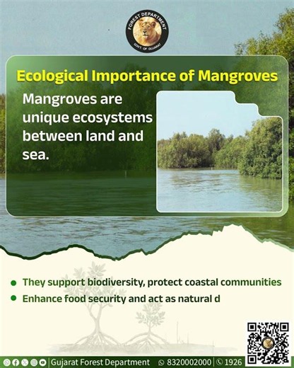 Ecological importance of Mangroves