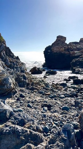 Nikon Z9 photographing Cormorants in flight. #nikonz9 #birdwatching #birding_lounge #birdsinflight #birdphotography | Andy Tychon Photography