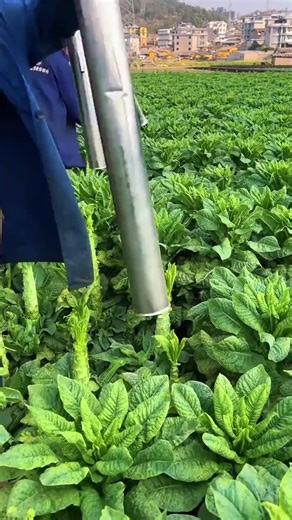 Exploring the Best Realms in Minecraft