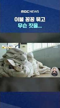 Tying Blankets Together and Trying What... #Shorts (MBC News)