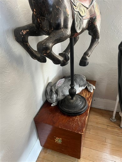 Pet Rabbit Lovers | Little known fact- one of my super powers is the ability to nap anywhere, on any surface, at any time | Facebook