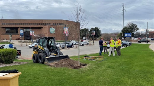 Green Bay's Liberty Tree to take root as city tees up America 250 plans