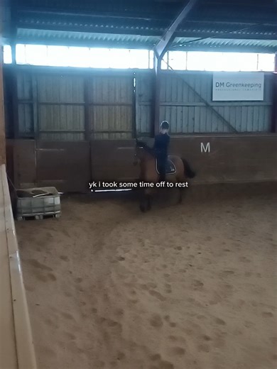 From now on I will post twice on Saturdays and Sundays — in the morning and in the afternoon (Danish time). I’m riding Tjalfe again 🥰 He’s feeling better, but I might not ride him in canter/gallop yet. Tomorrow I will ride him bareback in trot for the first time 🤩 I’ll post a video of it in the afternoon. Tags: #fyp #viral #equestrian #horses #horsegirl #horselovers #horseriding #horseridinglesson #dontflopthis #pleasedontflop #dontflop #dontjudge #dontletthisflopplease #trend