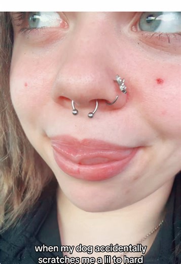 Funny Dog Scratch Moments That Make You Laugh