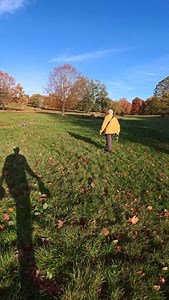 33K views · 2.3K reactions | Coco (the tiny two-year-old troublemaker ) and Bella (the gentle nine-year-old Cockapoo) were such a funny duo to photograph. Coco had already caused a bit of chaos at home in the morning, but you’d never know it from how cute she was on camera. #Frenchie #cocapoo #dogphotographer #dogphotography #dogsofinstagram | Robinmypictures | Facebook