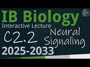 IB Biology C2.2 - Neural Signaling [SL/HL] - Interactive Lecture 2025-2033