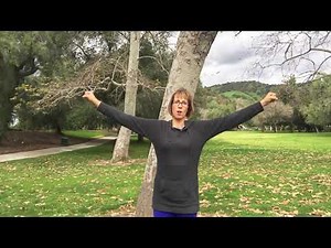 4 Minute Workout (created by Dr. Zack Bush)