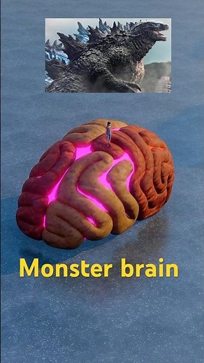 Biggest Monster brain size comparison #monster #brain #biggest #animalcomparison