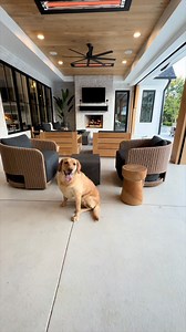 Infratech heaters are Fido-approved! Spend more time outdoors with man's best friend beneath design-friendly and effective flush mount WD-Series heaters. Transform your space into an all-weather destination. Get a complimentary, customized heating plan via the Design Services Page: https://bit.ly/48Eq2PJ | Infratech Comfort Heaters | Facebook