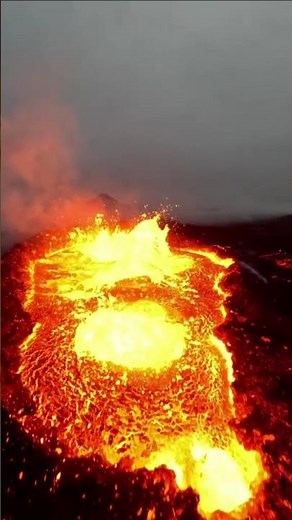 Top 4 Animals That Survive in Lava. #shorts #animals #wildlife #animalfacts