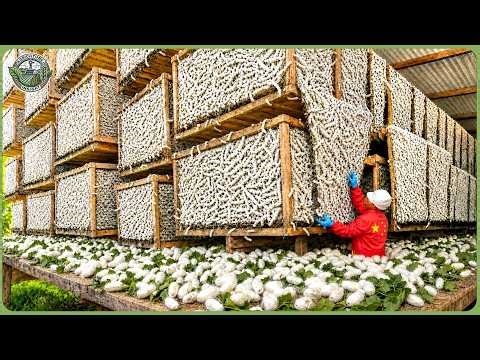 Inside the World’s Largest Agricultural System – Massive Production of Crops & Livestock