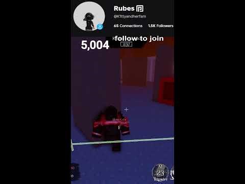 JOINING FANS ON ROBLOX!!!