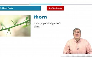 美国小学自然科学G3课程 American Textbook Reading Science Grade 3-02