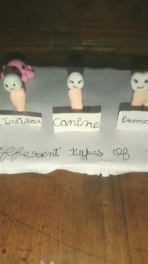 craft a different types of teeth DIY