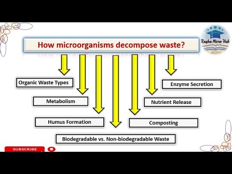 How do microorganisms decompose waste? #decomposers #waste #microbiology #lecture