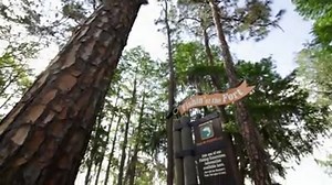 160 reactions · 29 shares | Take a trip down the open road and learn what it takes to perform The Perfect Cast. | A Goofy Movie | Facebook