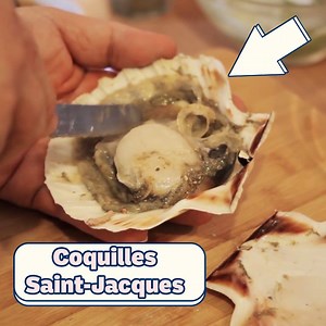 265K views · 3.3K reactions | Apprenez à cuisiner les Coquilles Saint Jacques à la vapeur, avec cette recette toute simple !  | Le riz jaune | Facebook