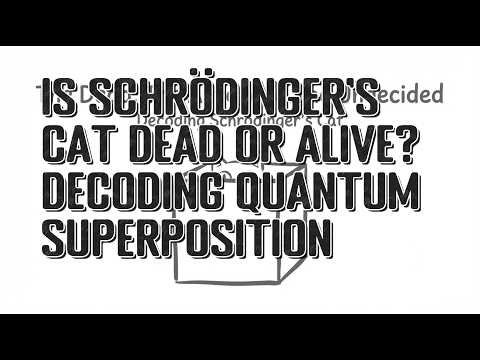 Schrödinger's Cat Explained: Quantum Superposition, Paradox, Reality & Many-Worlds Theory
