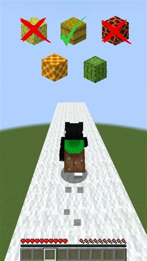 Which blocks prevent fall damage #minecraft #shorts