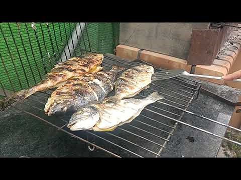 Dorada a la brasa#barbacoa#pescado#dorada#parrilla
