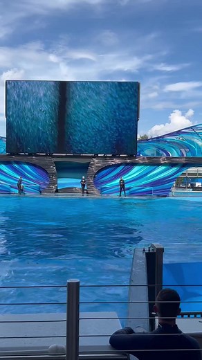 22K views · 455 reactions | Shamu show. #educational #fun #ambassadors | Travisandcousins | Facebook