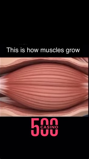 Space Astro on Instagram: "Open 3 free luxery boxes on Hypedrop | Epstein island drop: Some boxes are better left unopened… but not today. #reels #science #sciencefacts #viral #trending #typ #foryou #interesting"