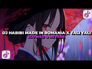 DJ HABIBI MADE IN ROMANIA X YALI YALI (Slowed & Reverb) Sound Viral Tiktok😋🤙🏻