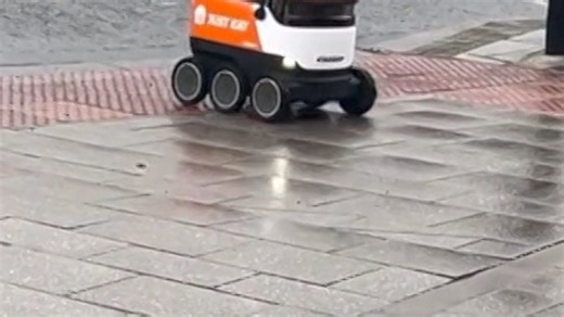 Self-driving delivery robots rolled out
