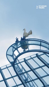 1.3K views · 37 reactions | Relive unforgettable moments on the Spurs Legends Tour as you explore behind the scenes, uncover the stories of club greats , and discover the history that shaped Tottenham Hotspur. ⚽️ | Tottenham Hotspur | Facebook