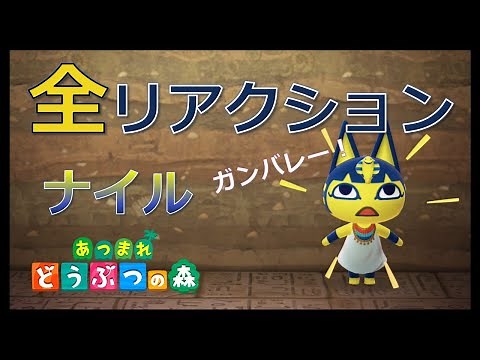 【あつ森】ナイルの可愛い全44種類リアクション！【あつまれどうぶつの森】