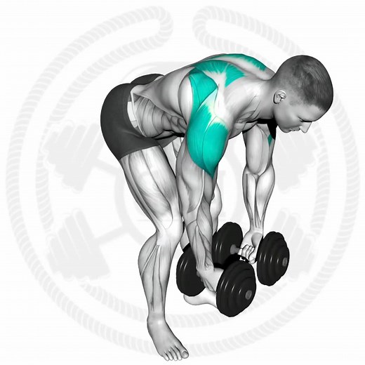 Shoulder workout | Fitness routines