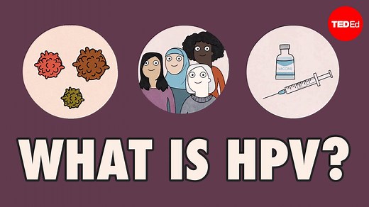 1.6M views · 2.9K reactions | At some point, most sexually active people will be infected with human papillomavirus. But what is HPV, and how can you protect yourself from it? Learn how this fascinating virus works: | TED | Facebook
