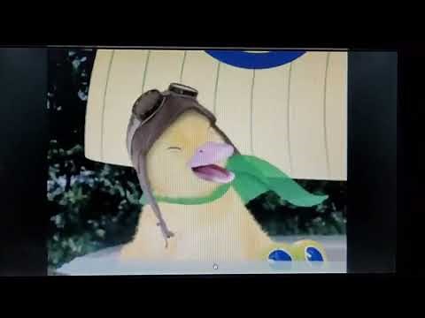 Mascotas maravilla ollie