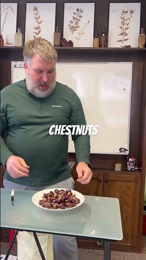 Wild Native Foods - Chestnuts