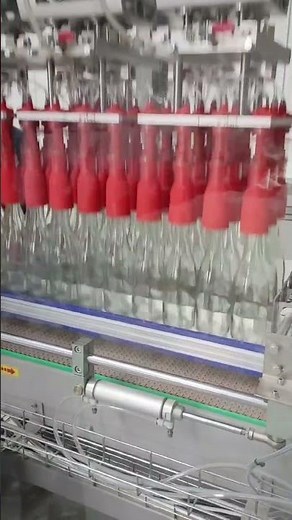 glass bottles case packer top load case packer for beverage industry #casepacker #casepackingmachine