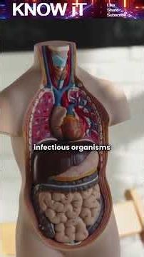 Why Can’t Humans Be Completely Immune to All Diseases?