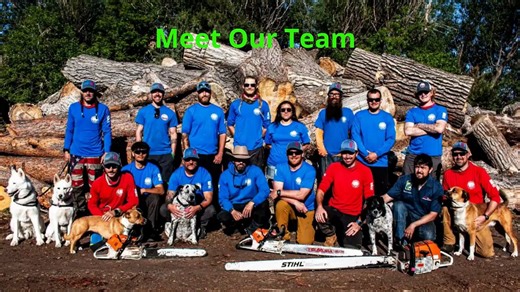 Patriot Tree Company INC. | Tree Removal in Boulder, CO