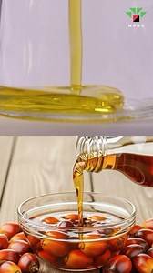 93K views · 730 reactions | Palm oil and red palm oil come from the...