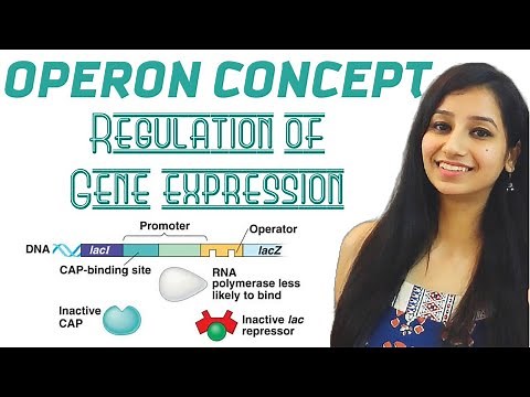 Operon Concept - Regulation of Gene Expression|Molecular Biology|CSIRNET|GATE|IITJAM|ICAR|ICMR|DBT|