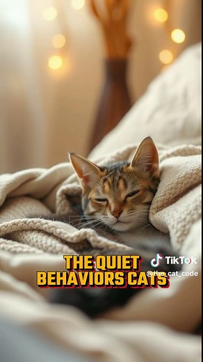 Entendiendo el Comportamiento de los Gatos: El Needing
