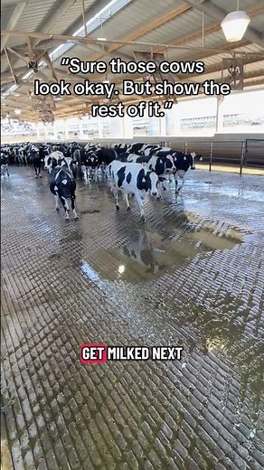 What You Don’t See in a 30-Second Dairy Video