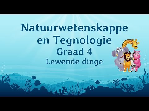Lewende dinge - Graad 4
