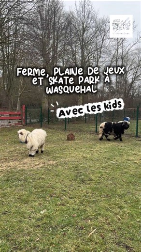 Une balade incontournable à @ville2wasquehal c'est la plaine de jeux qui abrite également un skate Park et la ferme Dehaudt, vous connaissez ? C'est gratuit en ce moment! 📍Plaine de jeux, impasse du Triest à Wasquehal 📅 La ferme du mardi au dimanche de 10h à 17h jusqu'au 30 mars (18h ensuite) et la plaine tous les jours 8h30/18h30 (20h30 le samedi) 🎟 Gratuit en ce moment pour tout le monde sinon pendant les week-ends de l'Ascension, Pentecôte et ceux de juin à septembre c'est 3€ l'entrée et g