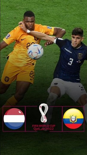 Netherlands vs Ecuador All Goals ⚽ FIFA World Cup 2022