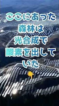 Destroying forests for environmental protection!?