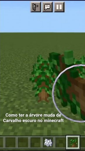 como ter uma Árvore de Carvalho escuro no minecraft🍃
