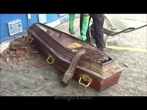 Exhumation And Excavation Of Corpse